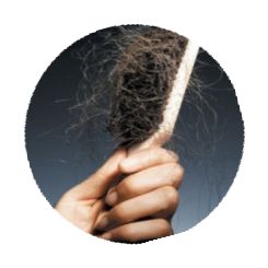 Organs hair loss treatment women calcium
